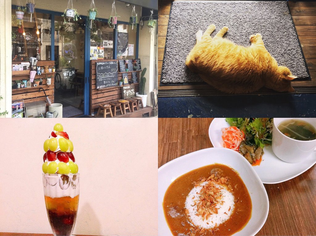 （上）「おうちごはんcafe たまゆらん」の外装と看板猫サヴォン（下）人気のパフェとカレープレート